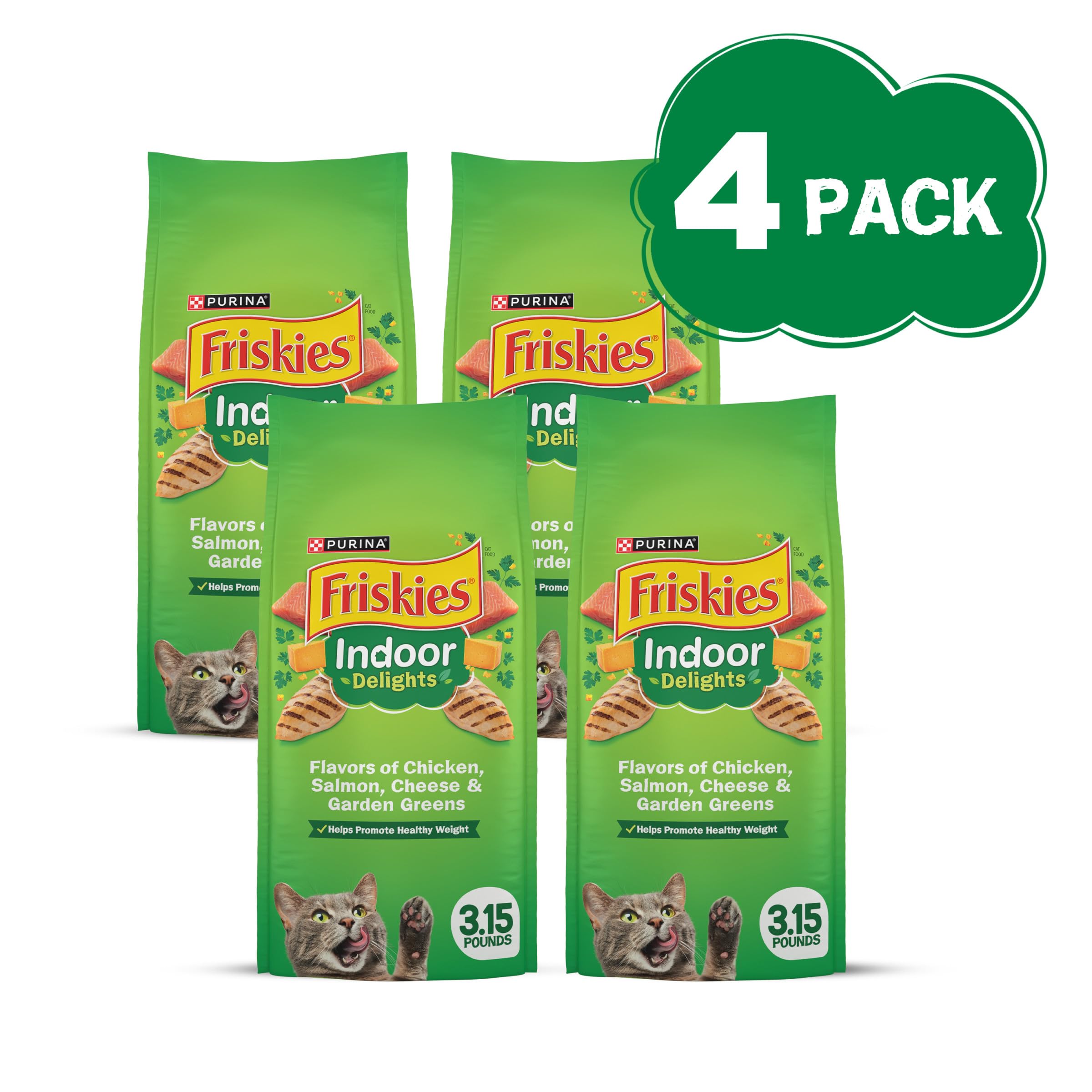 Friskies Purina croquettes dans une gamelle prêtes à stimuler l'appétit