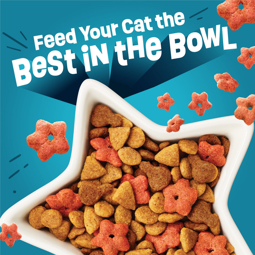 Friskies Purina main tenant une croquette démontrant taille et forme