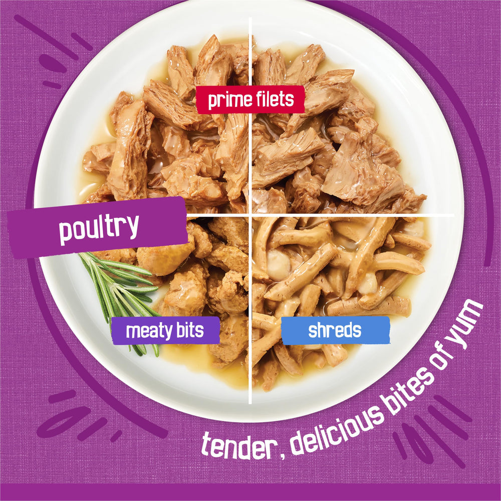 Friskies Purina gros plan filet de volaille, source de protéines de qualité
