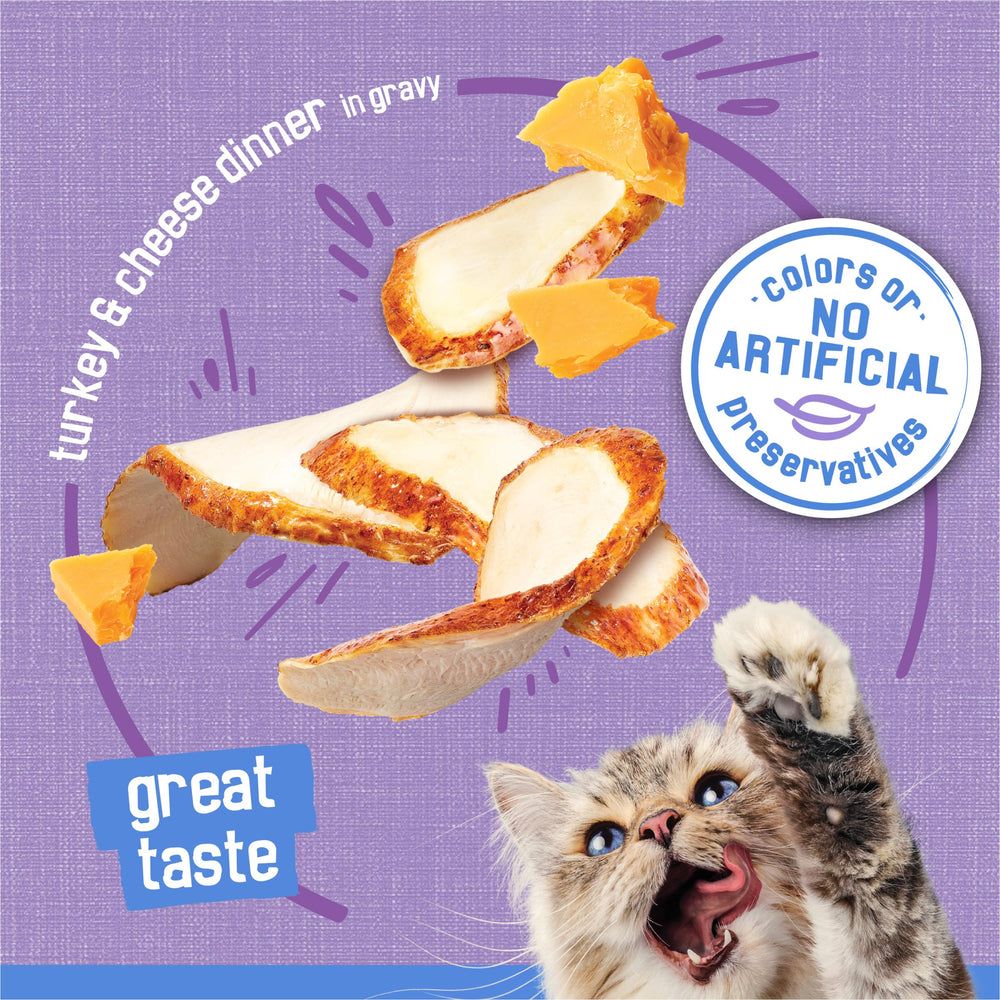 Friskies Purina portion comparée à une cuillère pour évaluer la quantité adaptée
