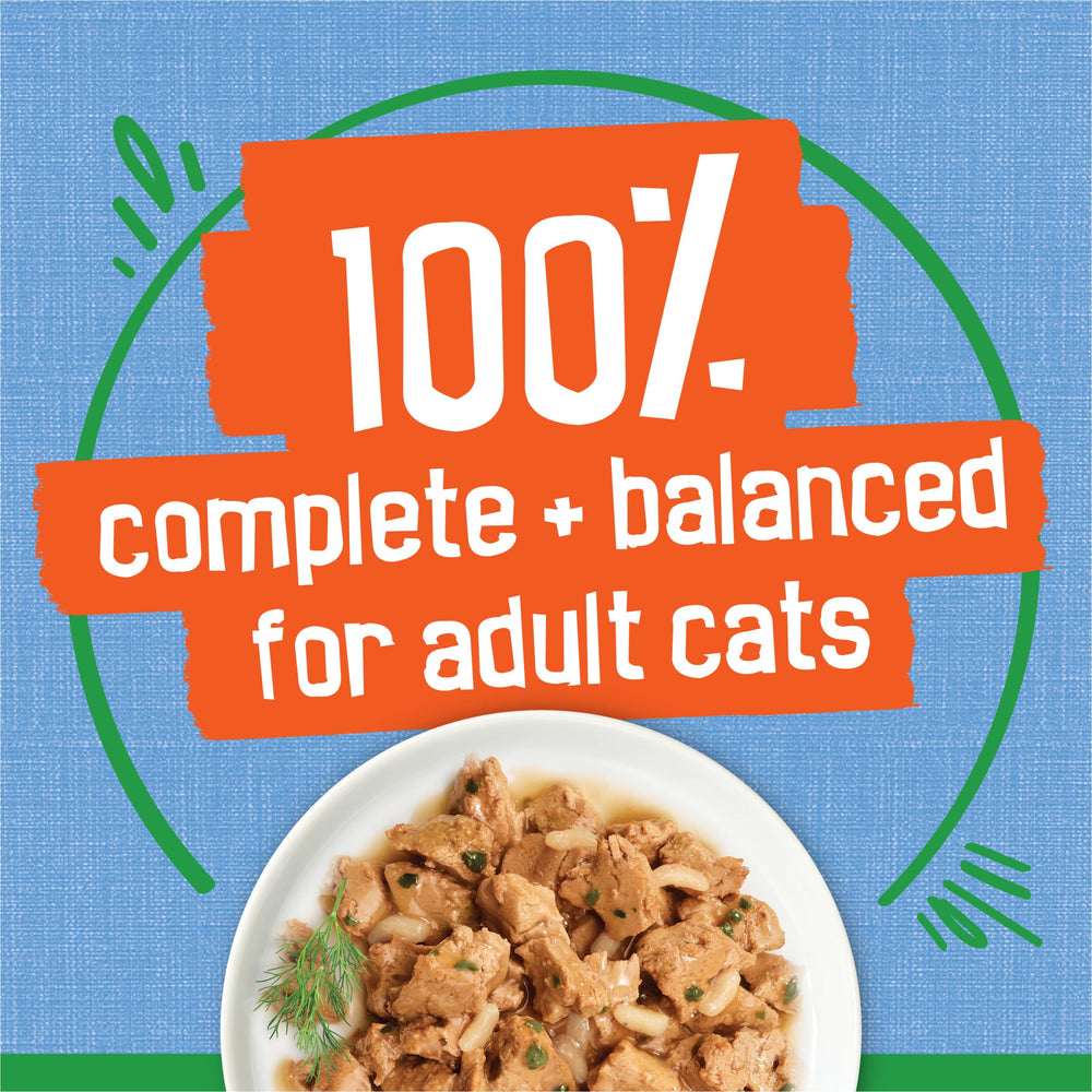 Friskies Purina chat d'intérieur mangeant, encouragement à la prise