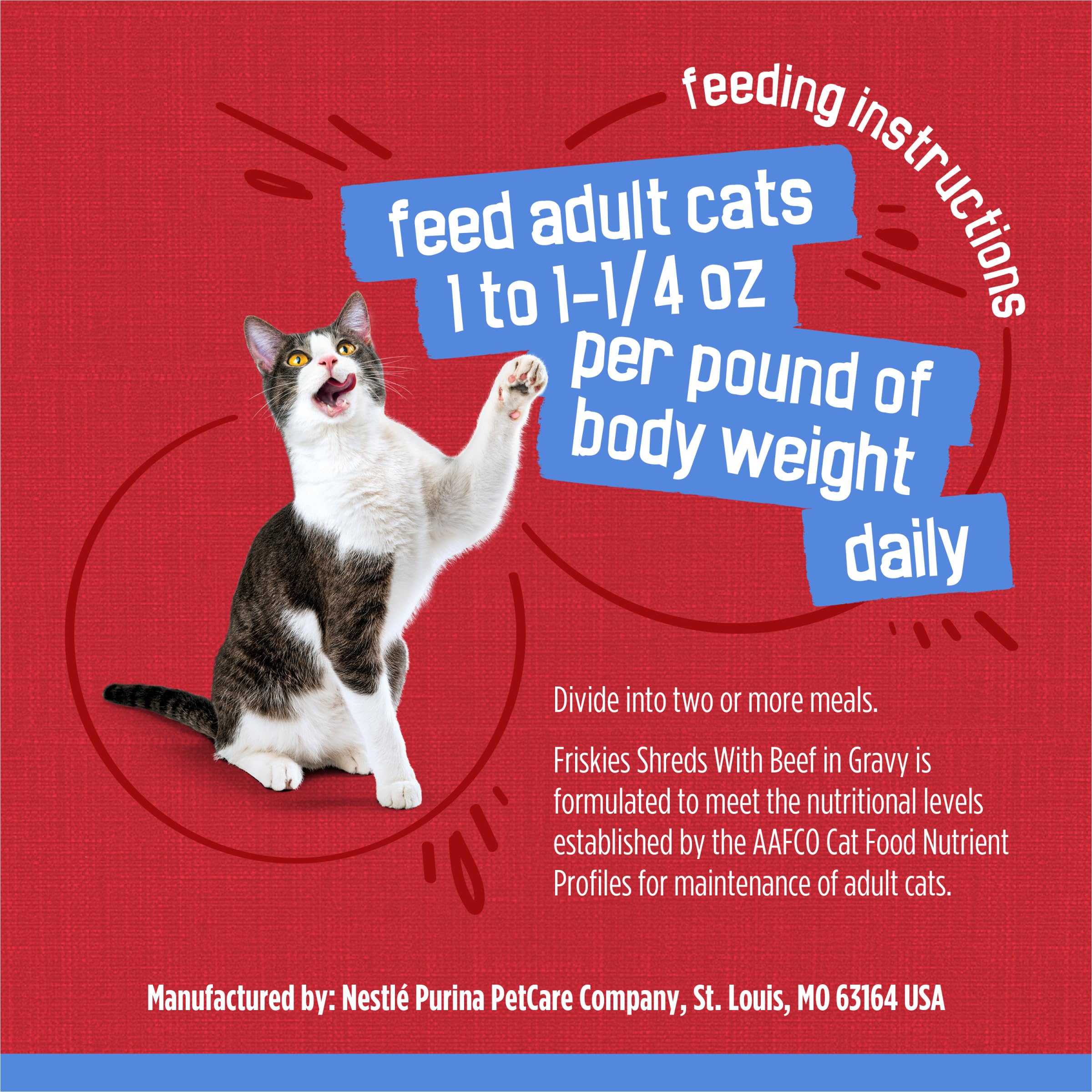 Friskies Shreds au bœuf comparaison de taille avec une main, montre portion de 156 g