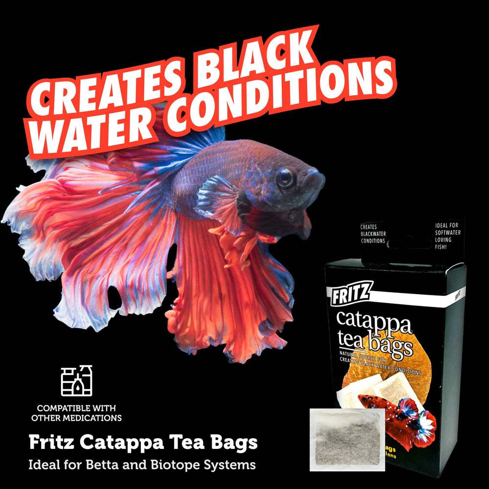 Comparaison d'échelle Fritz Aquatics sachet à côté d'une main pour référence taille