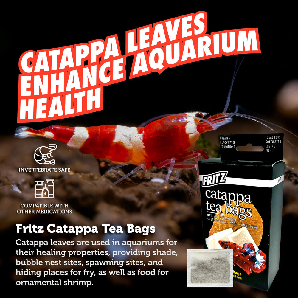 Feuilles Catappa Fritz Aquatics colorant l'eau en blackwater, ambiance biotope améliorée
