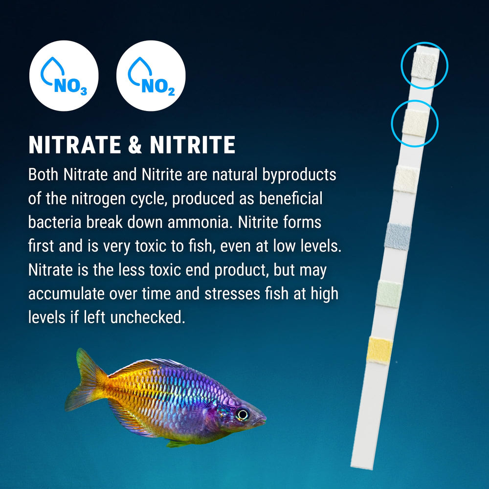 Utilisation d'une bandelette Fritz dans un aquarium pour contrôle immédiat