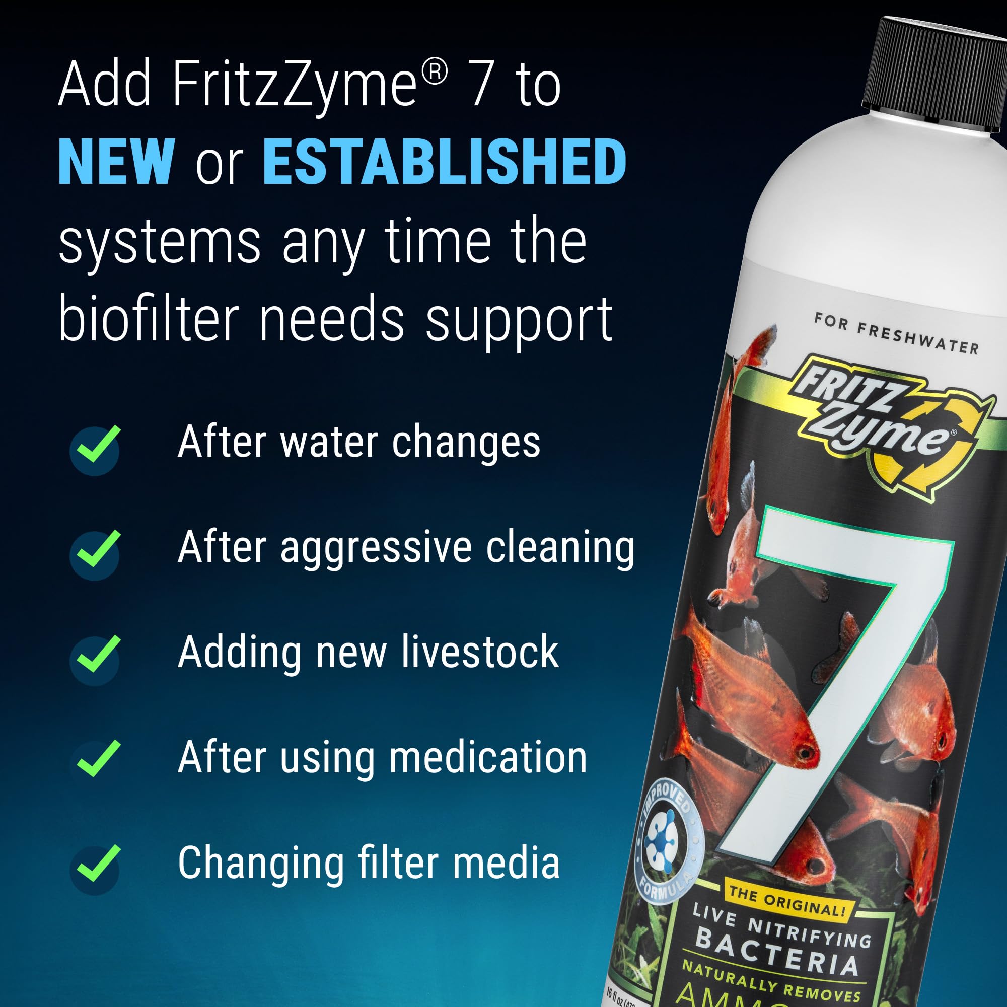 Application de FritzZyme 7 dans le filtre montrant réensemencement rapide