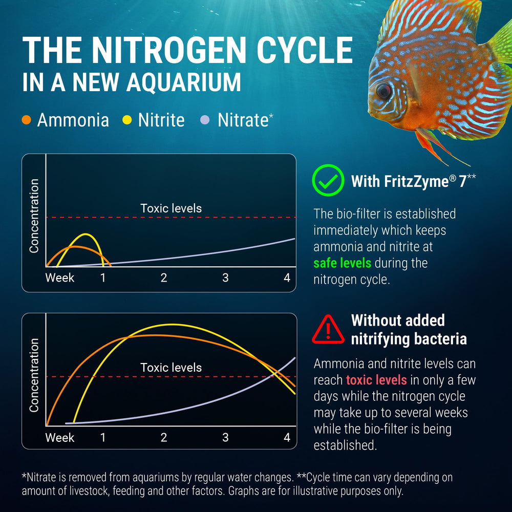 Fritz Aquatics filtre en service avec biofilm optimisé pour stabiliser eau