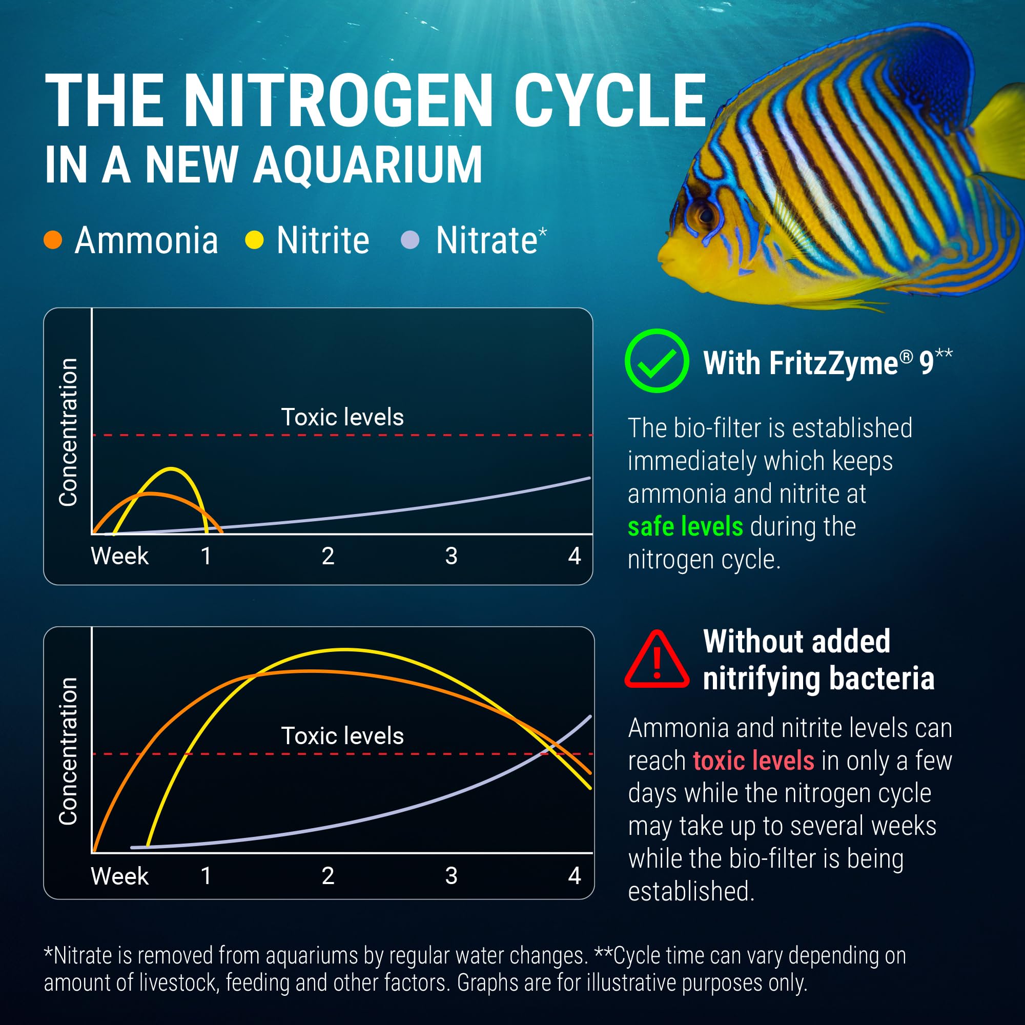 Fritz Aquatics FritzZyme 9 ajouté dans le filtre démontrant une diffusion efficace