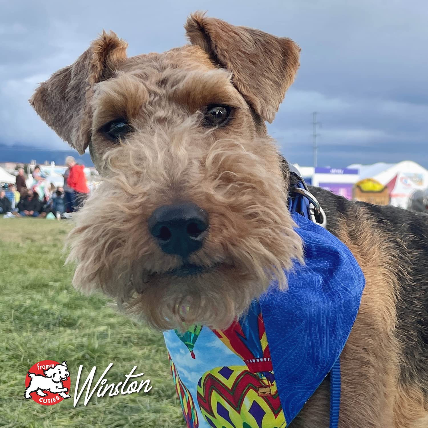 Fromm chien mangeant la recette salmon a la veg démontrant plaisir