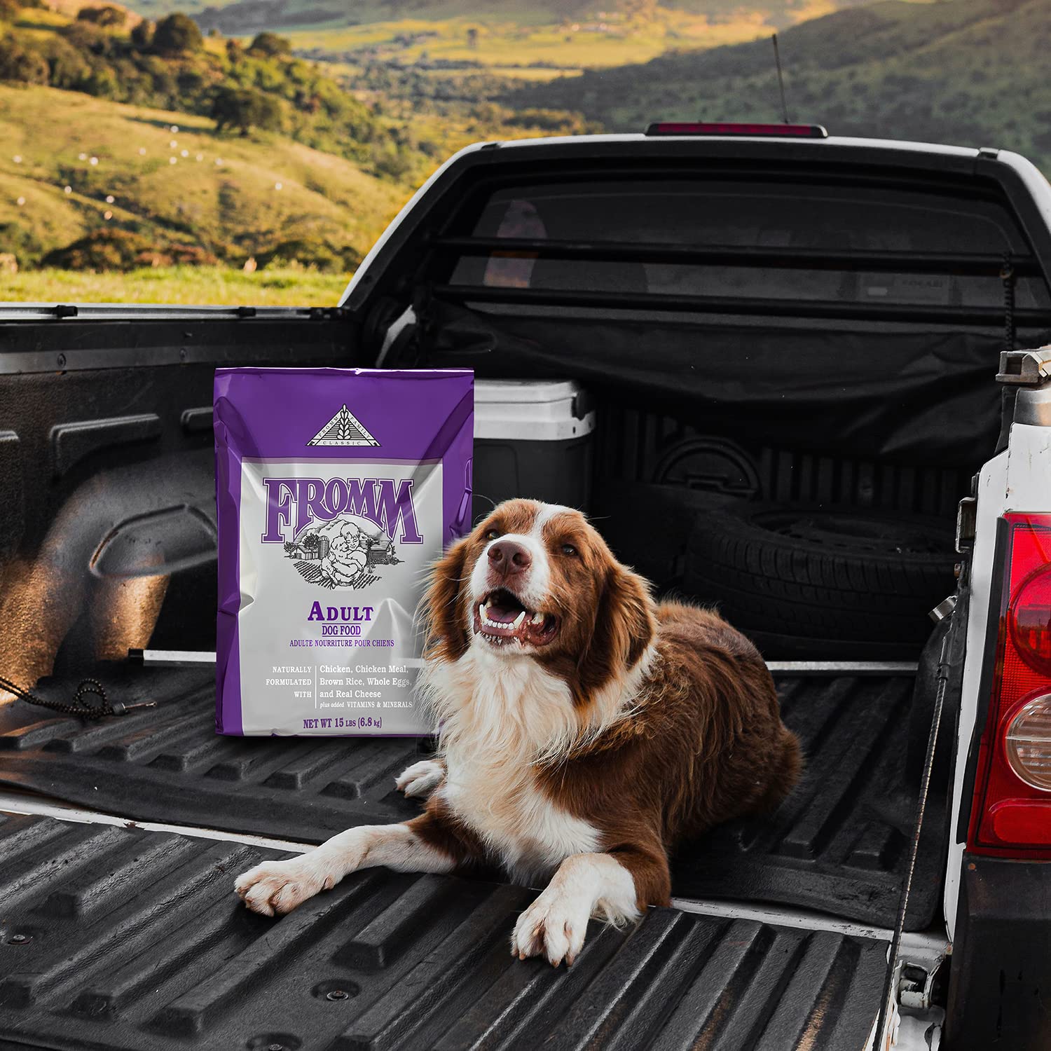 chien mangeant Fromm Classic Chicken dans une cuisine pour un repas quotidien