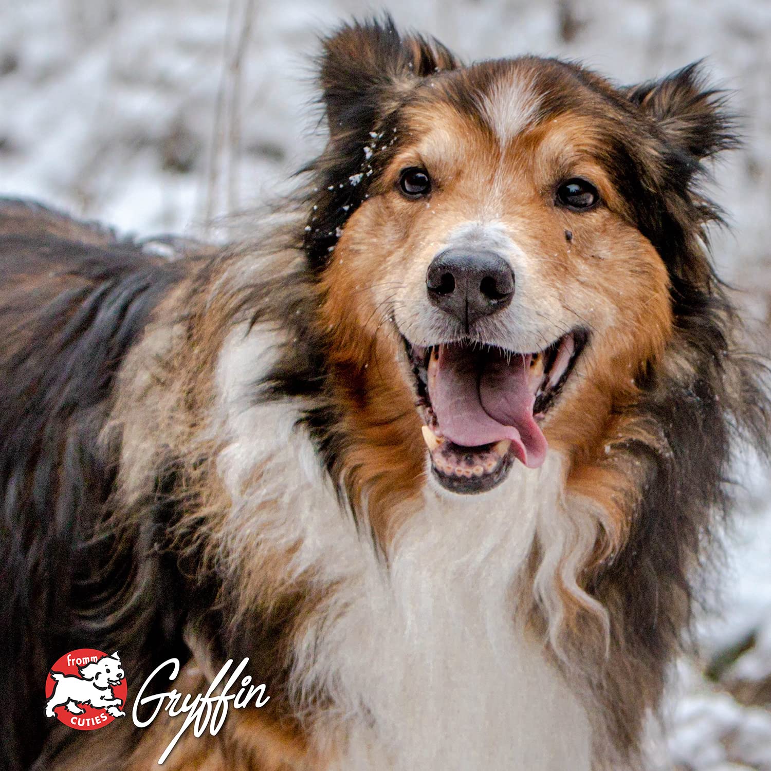 Fromm scène famille et chien, repas partagé simple et fiable