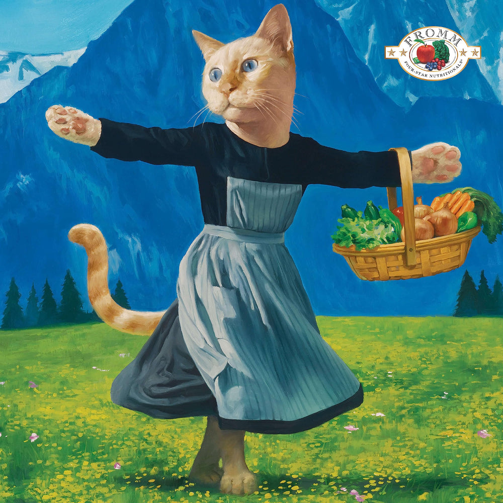 Fromm gros plan croquettes montrant texture et appétence pour chat