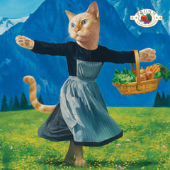 Fromm gros plan croquettes montrant texture et appétence pour chat
