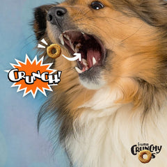 Fromm gros plan montrant texture croquante des friandises, appétence visible pour chien