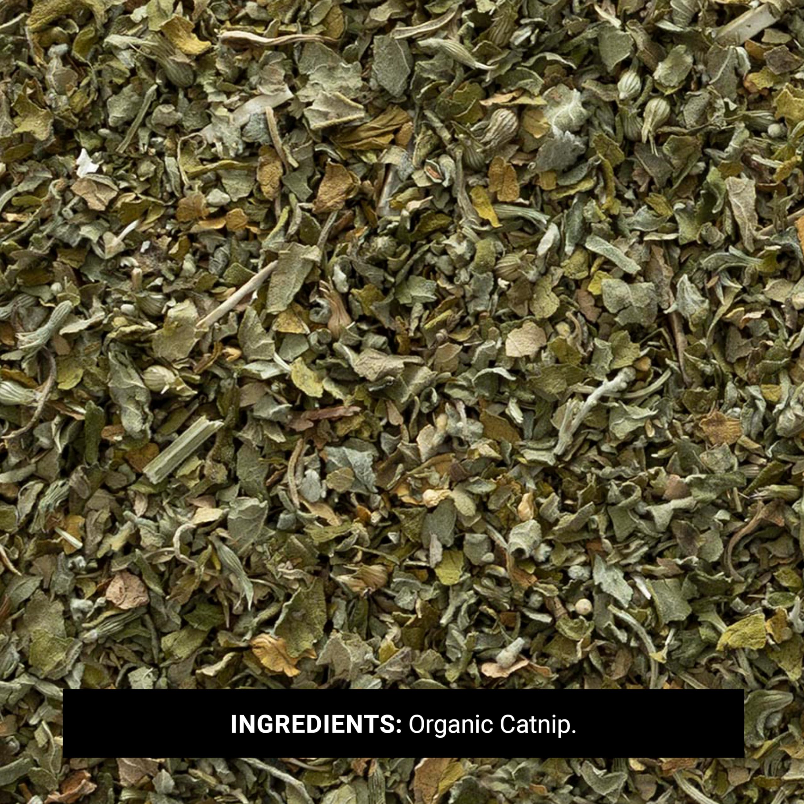 Gros plan feuilles de cataire Frontier Co-op montrant texture et arôme