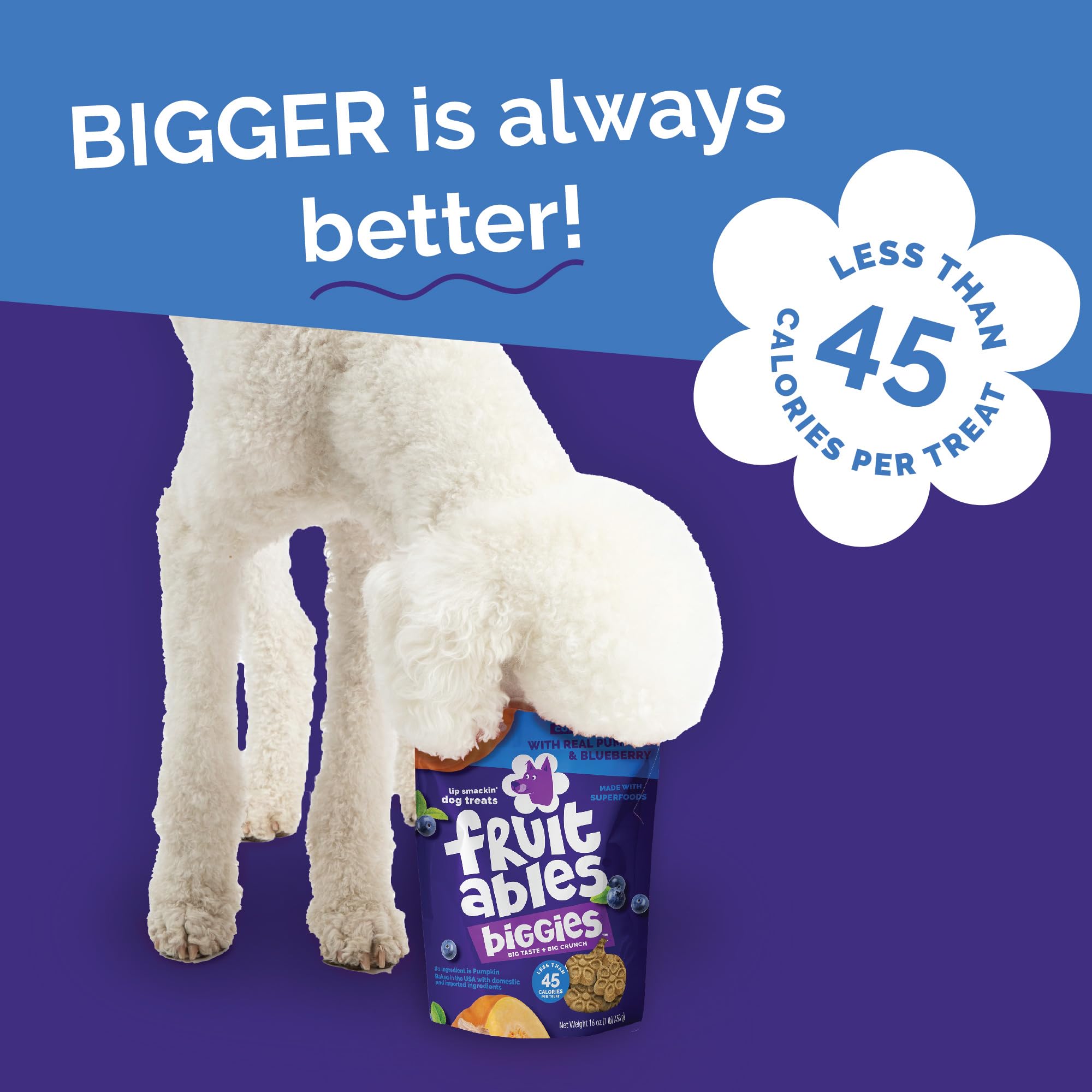 Fruitables chien prenant un biscuit, favorise apprentissage positif