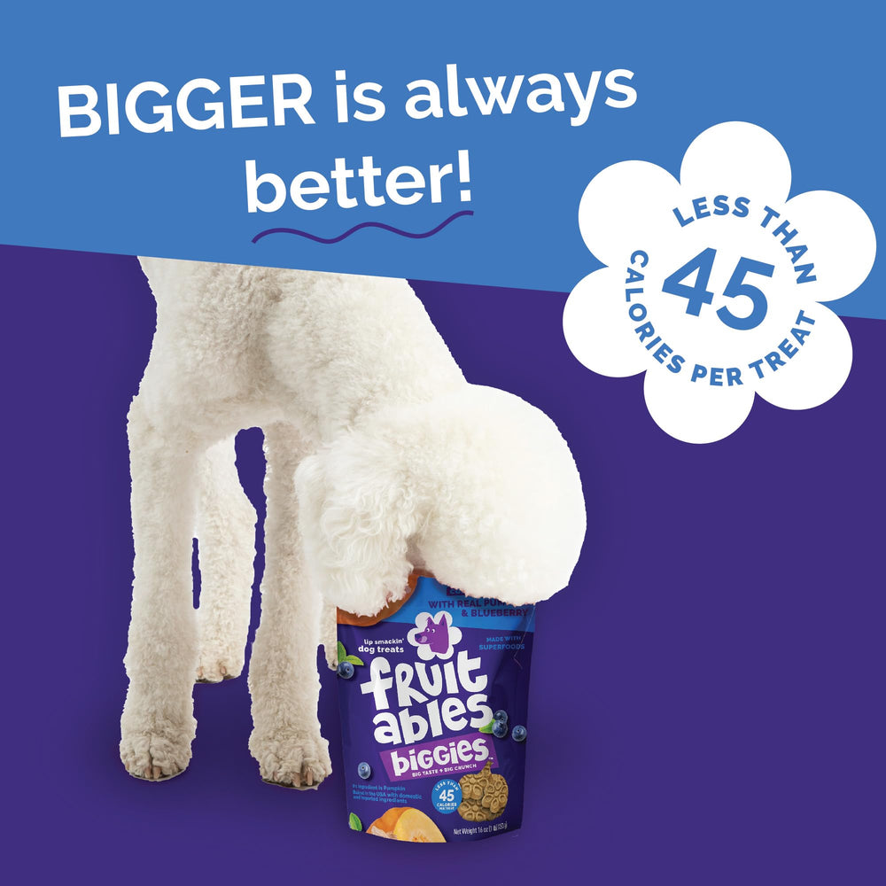 Fruitables chien prenant un biscuit, favorise apprentissage positif