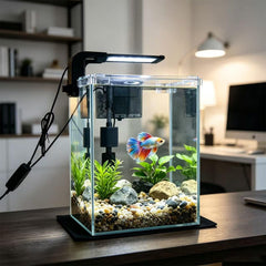 FS&AQ gros plan du filtre montrant filtration silencieuse pour eau claire