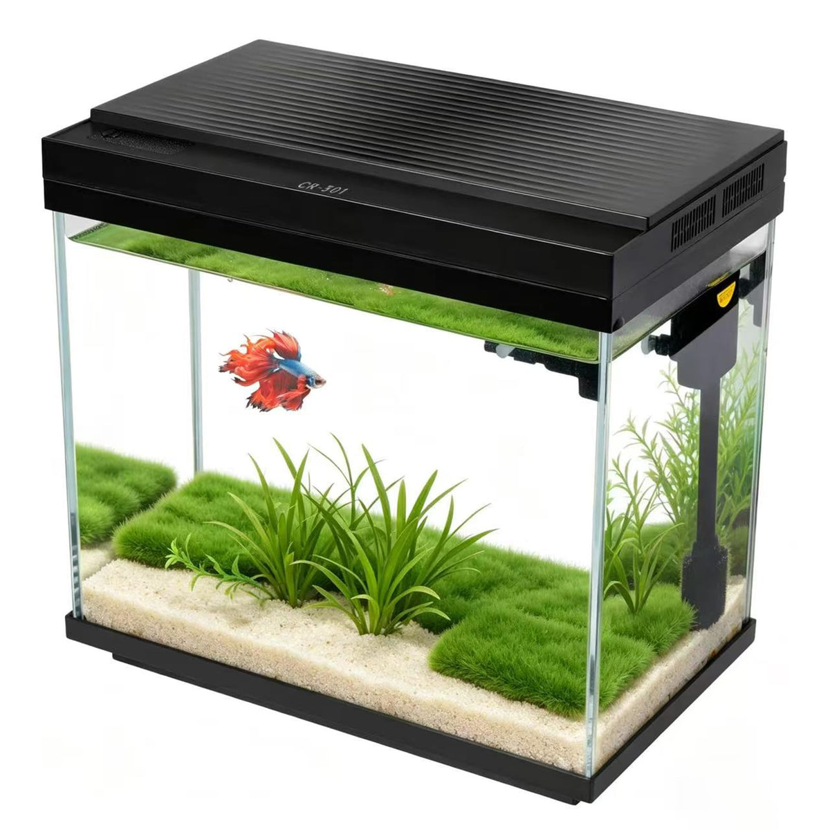 FS&AQ aquarium face avant montrant bac complet et visibilité remarquable