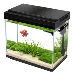 FS&AQ aquarium face avant montrant bac complet et visibilité remarquable