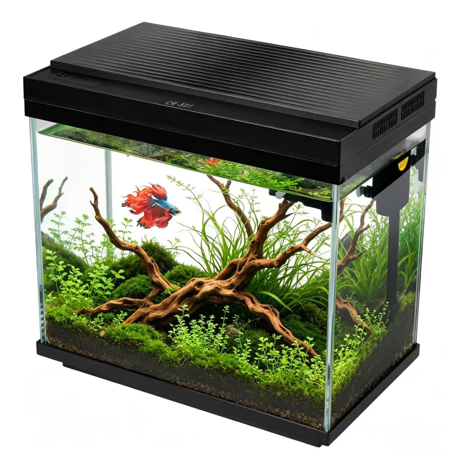 FS&AQ filtre interne détaillé illustrant circulation d'eau efficace