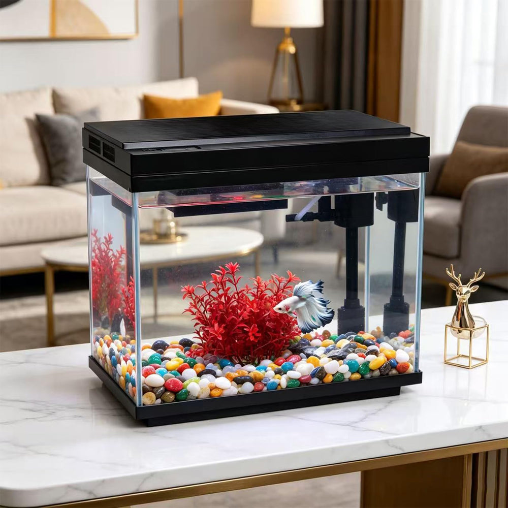 FS&AQ verre ultra-transparent gros plan révélant couleurs et détails