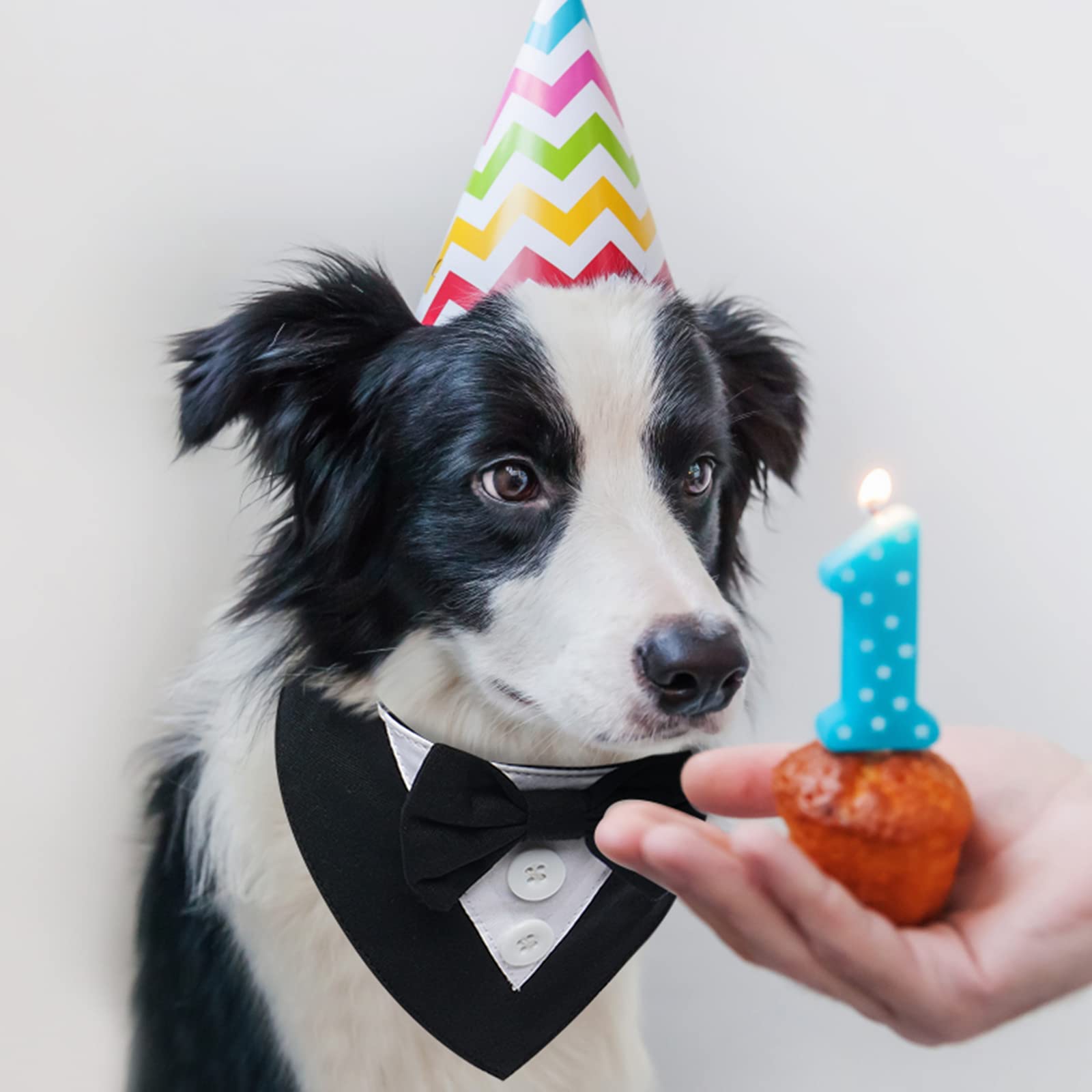 FUAMEY chien portant la bandana et nœud papillon, tenue facile à enfiler