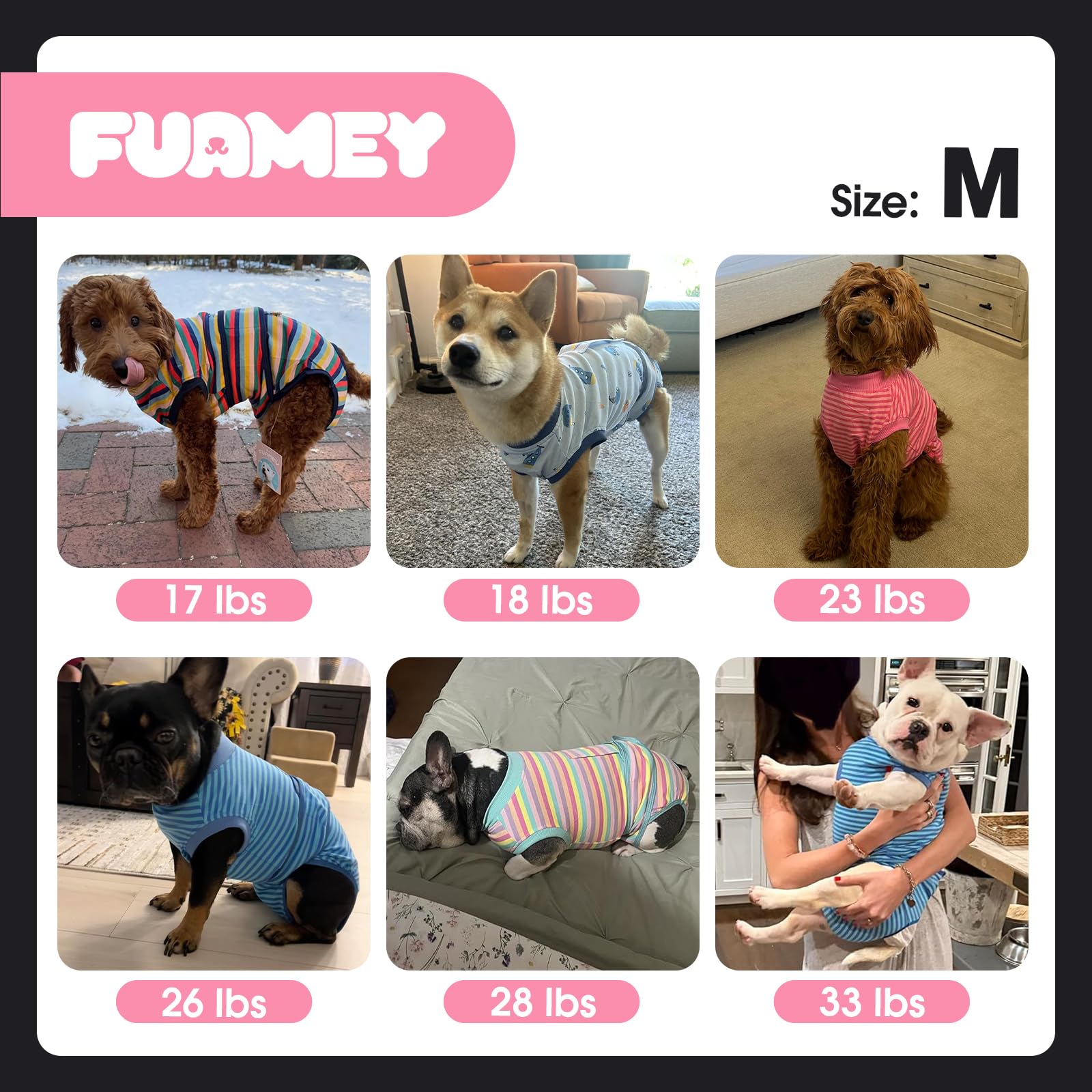 FUAMEY chiot post-opératoire protégé et calme grâce à la combinaison