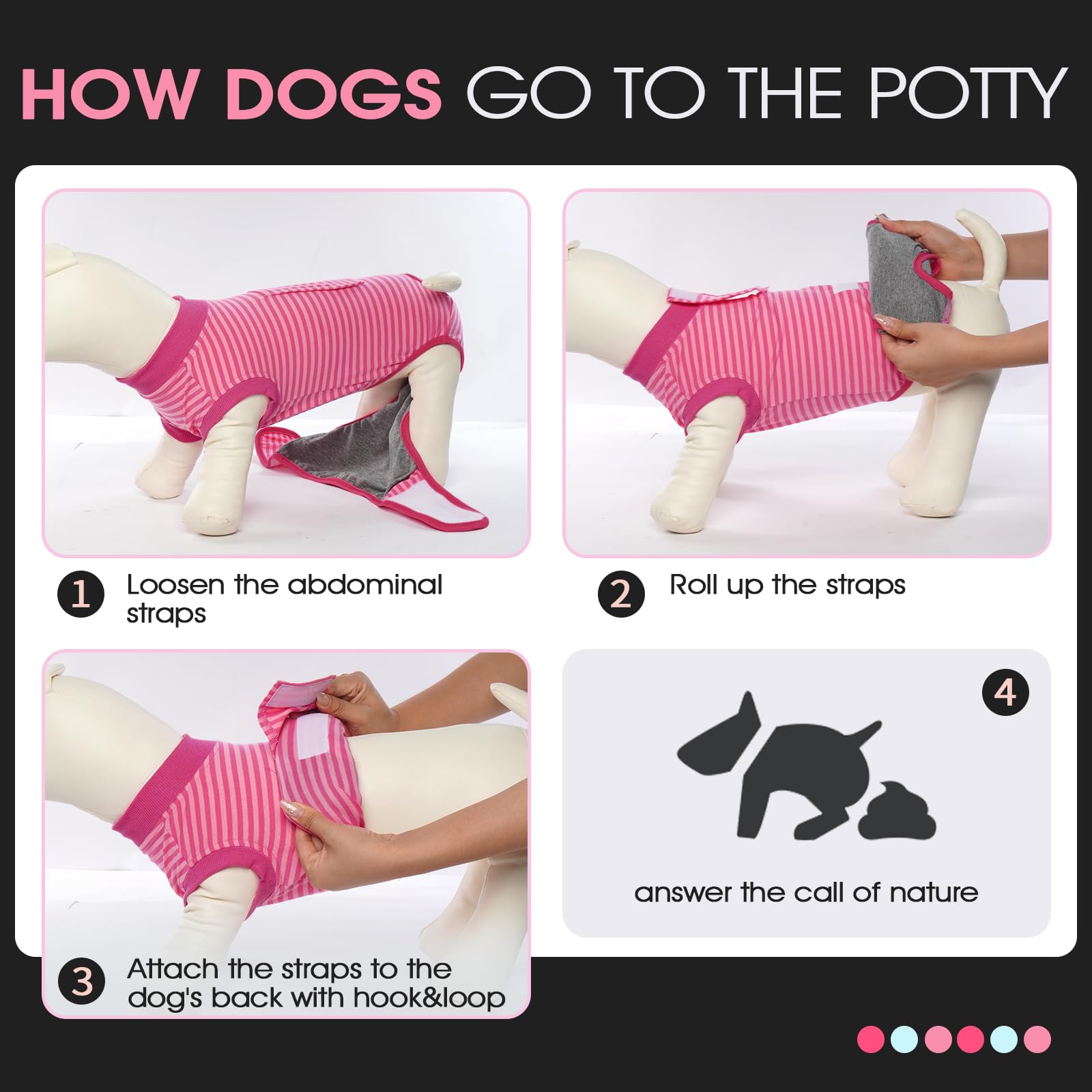 FUAMEY comparaison de tailles sur plusieurs chiens facile à choisir