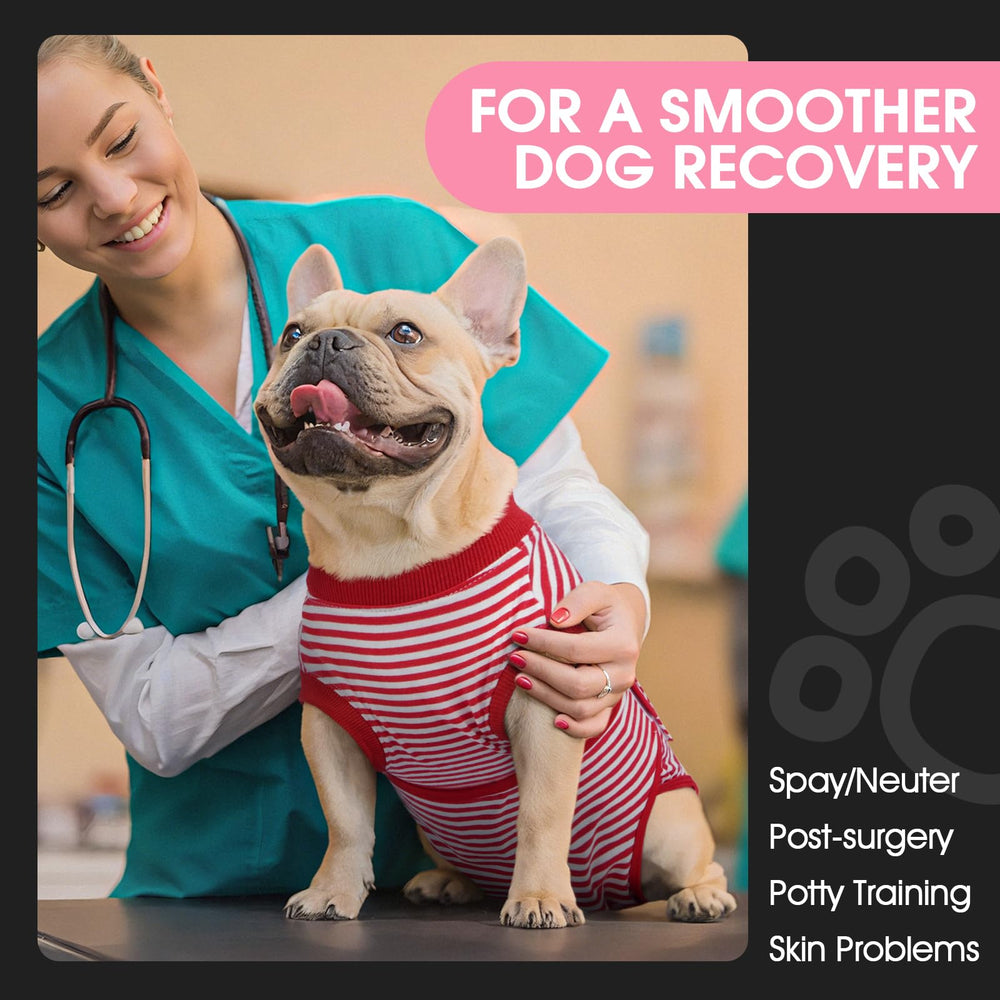 FUAMEY chien portant la combinaison pour mobilité et protection