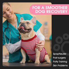 FUAMEY chien portant la combinaison pour mobilité et protection