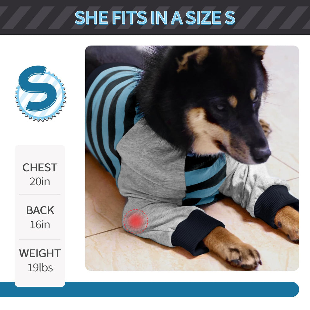 FUAMEY manchon porté par chien à l’intérieur pour protection quotidienne
