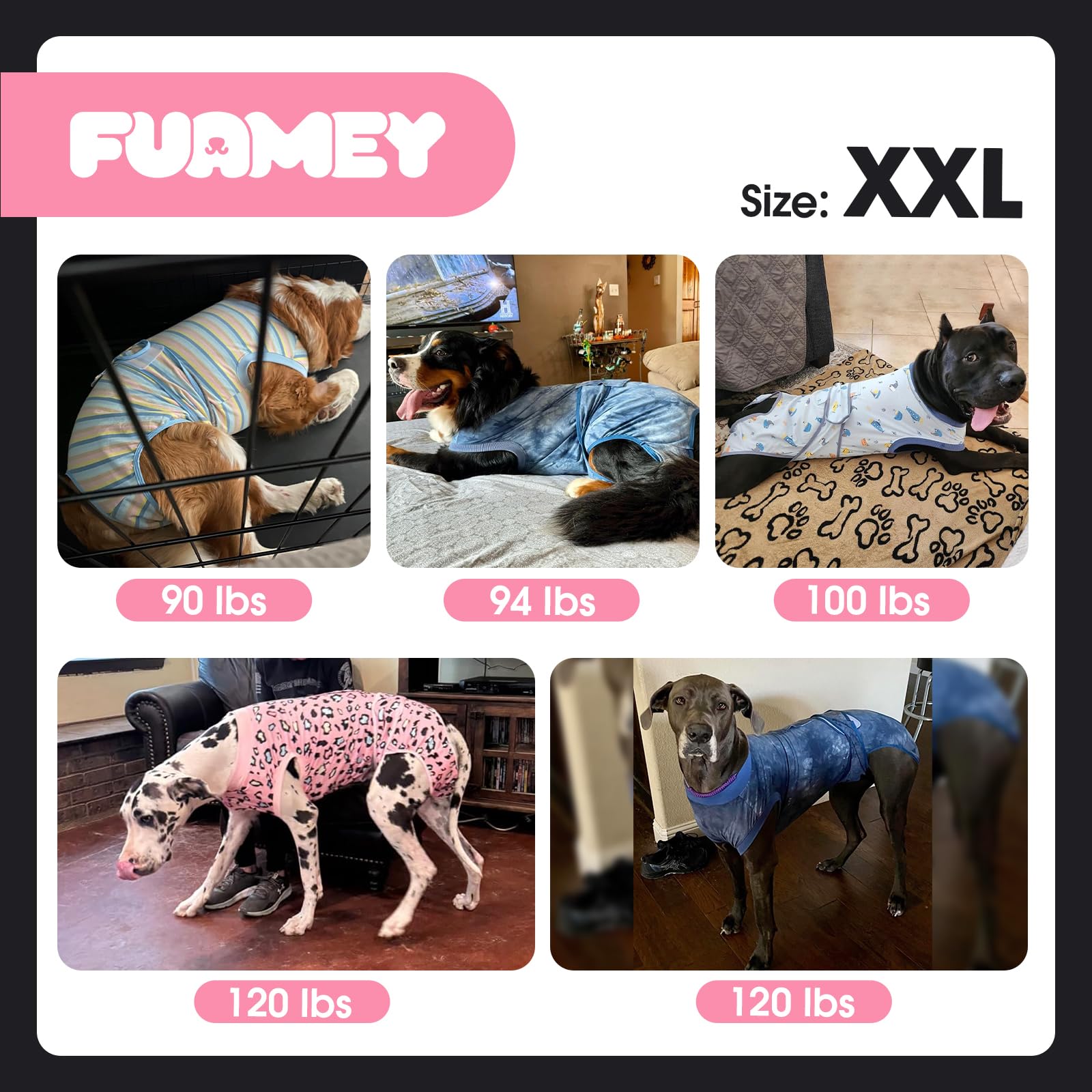 FUAMEY maman-chien en convalescence protégée et tranquille