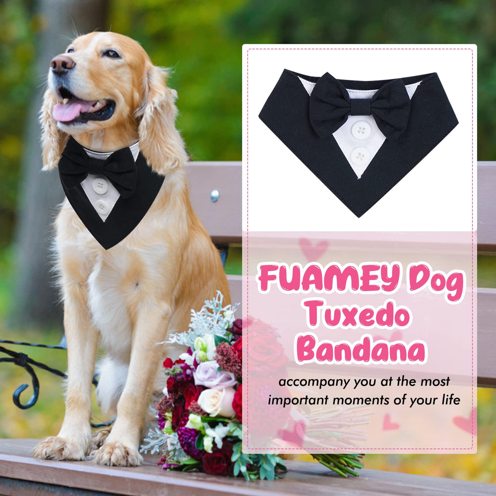 FUAMEY lifestyle en extérieur lors d'une fête, look formel et photogénique