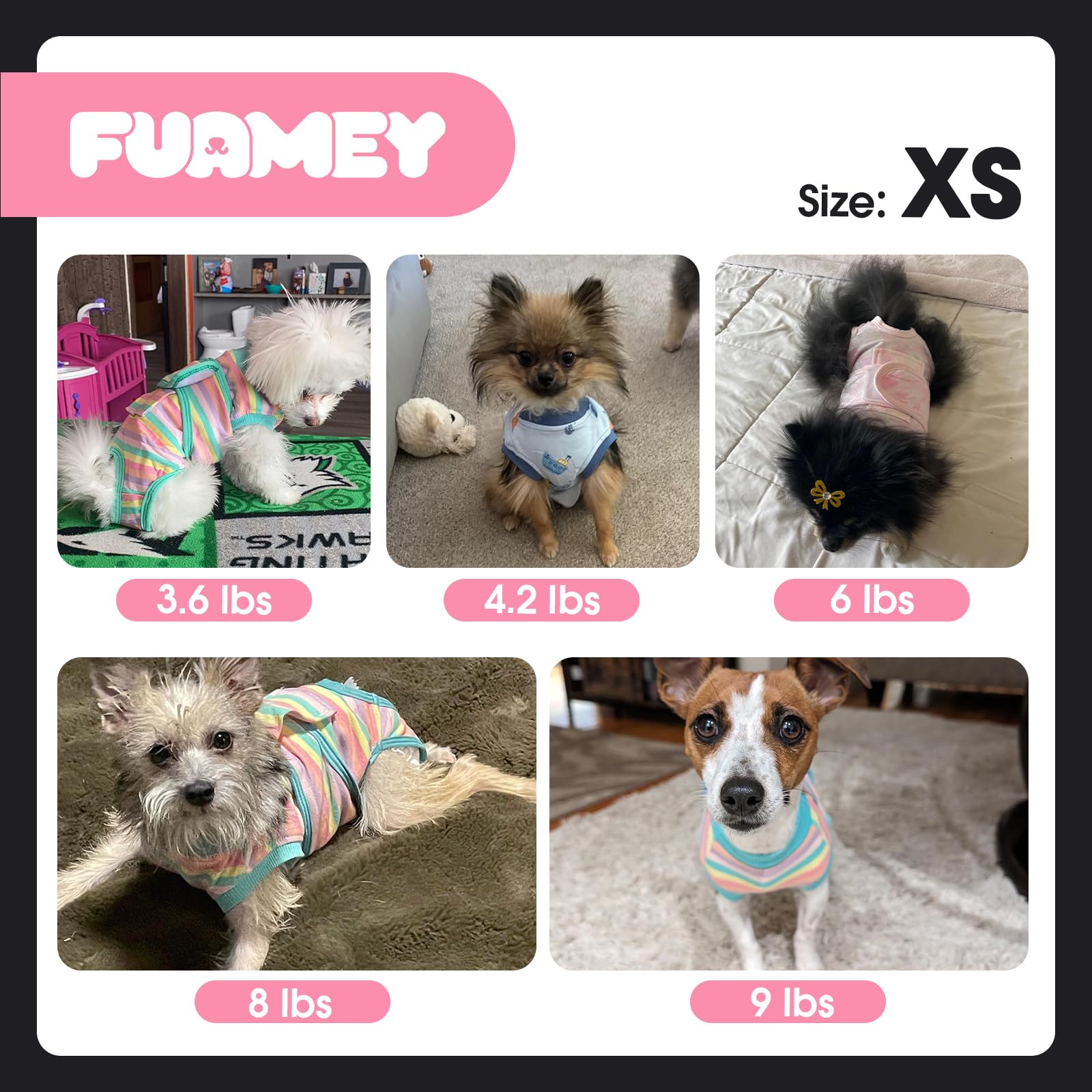 FUAMEY chien actif en extérieur montrant liberté de mouvement