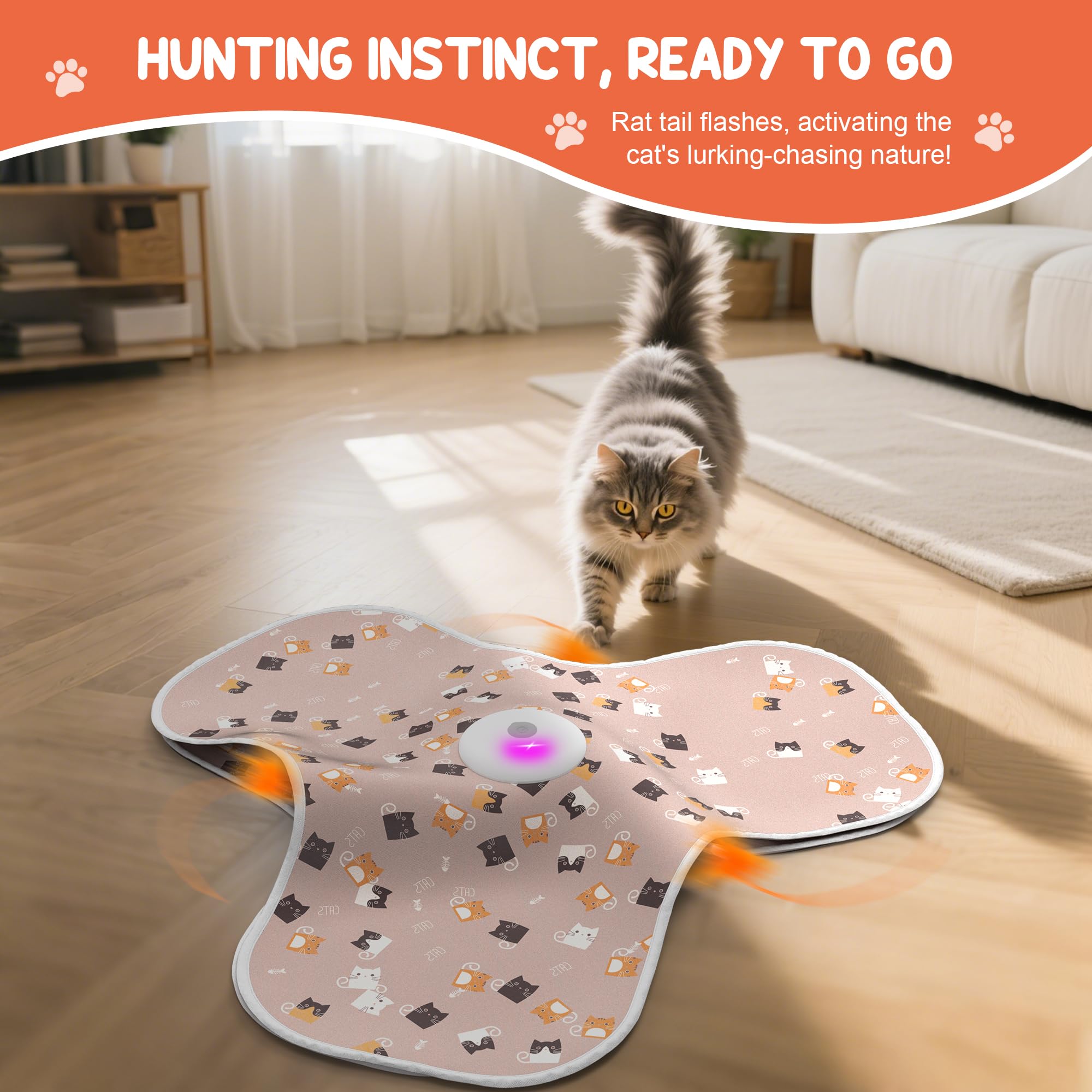 FUGODIWI chat bondissant sur le jouet montrant exercice et chasse simulée