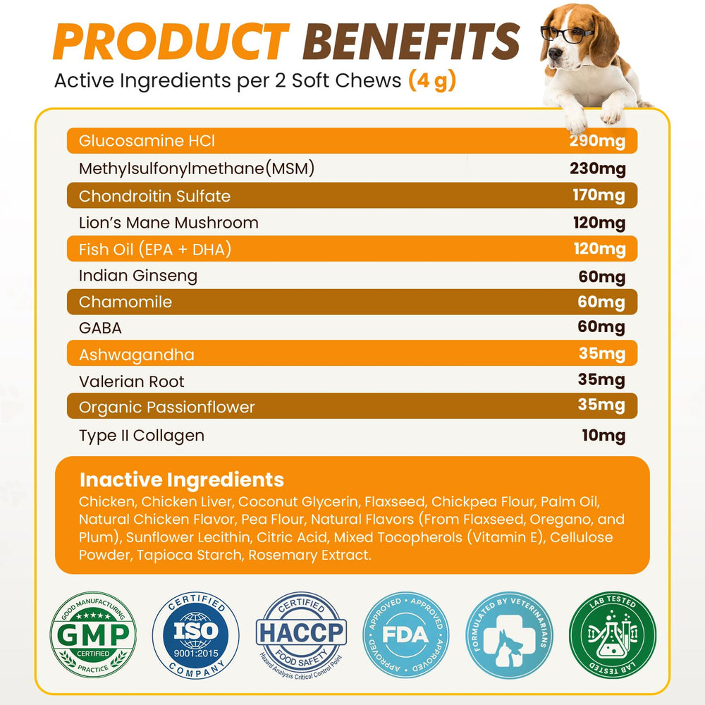 Fuionka scène lifestyle maître et chien partageant moment apaisé