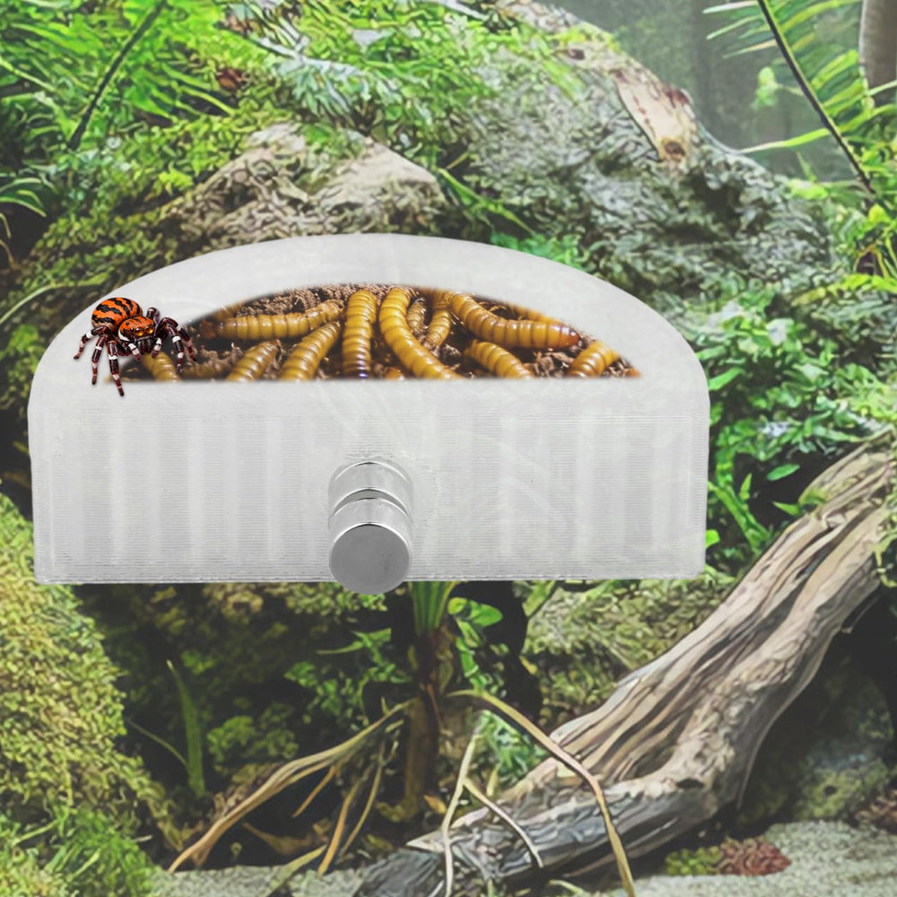Fukaisu coupelle fixée dans terrarium garantissant organisation et propreté