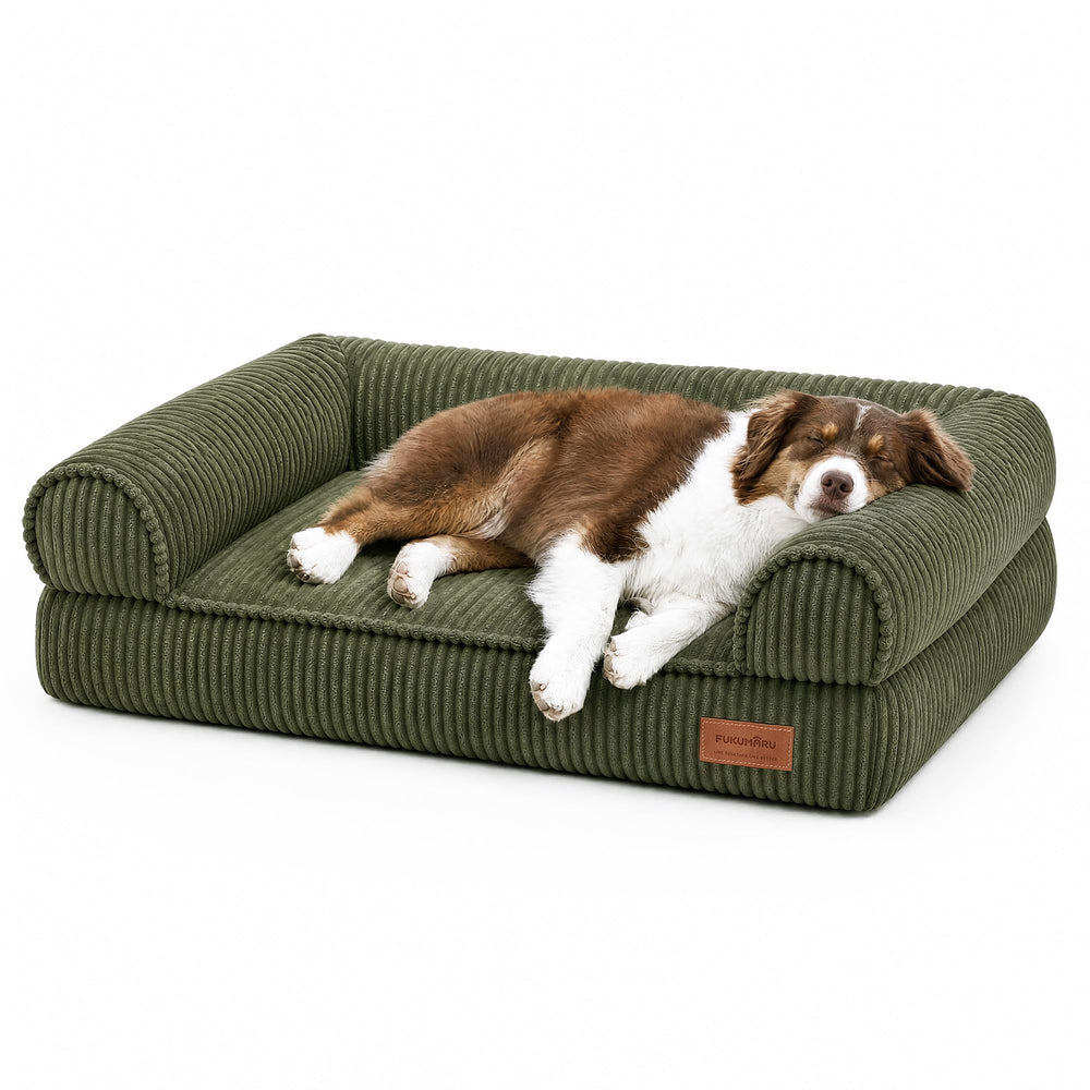 FUKUMARU canapé chien face avant montrant design et confort