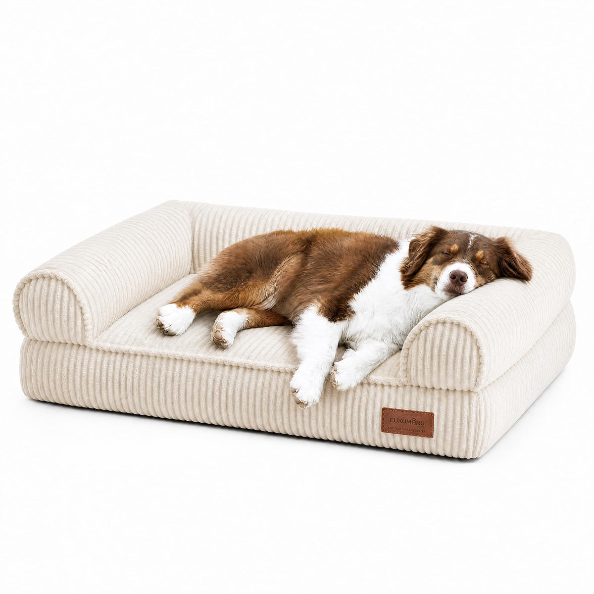 FUKUMARU canapÃ© chien face avant montrant confort et design