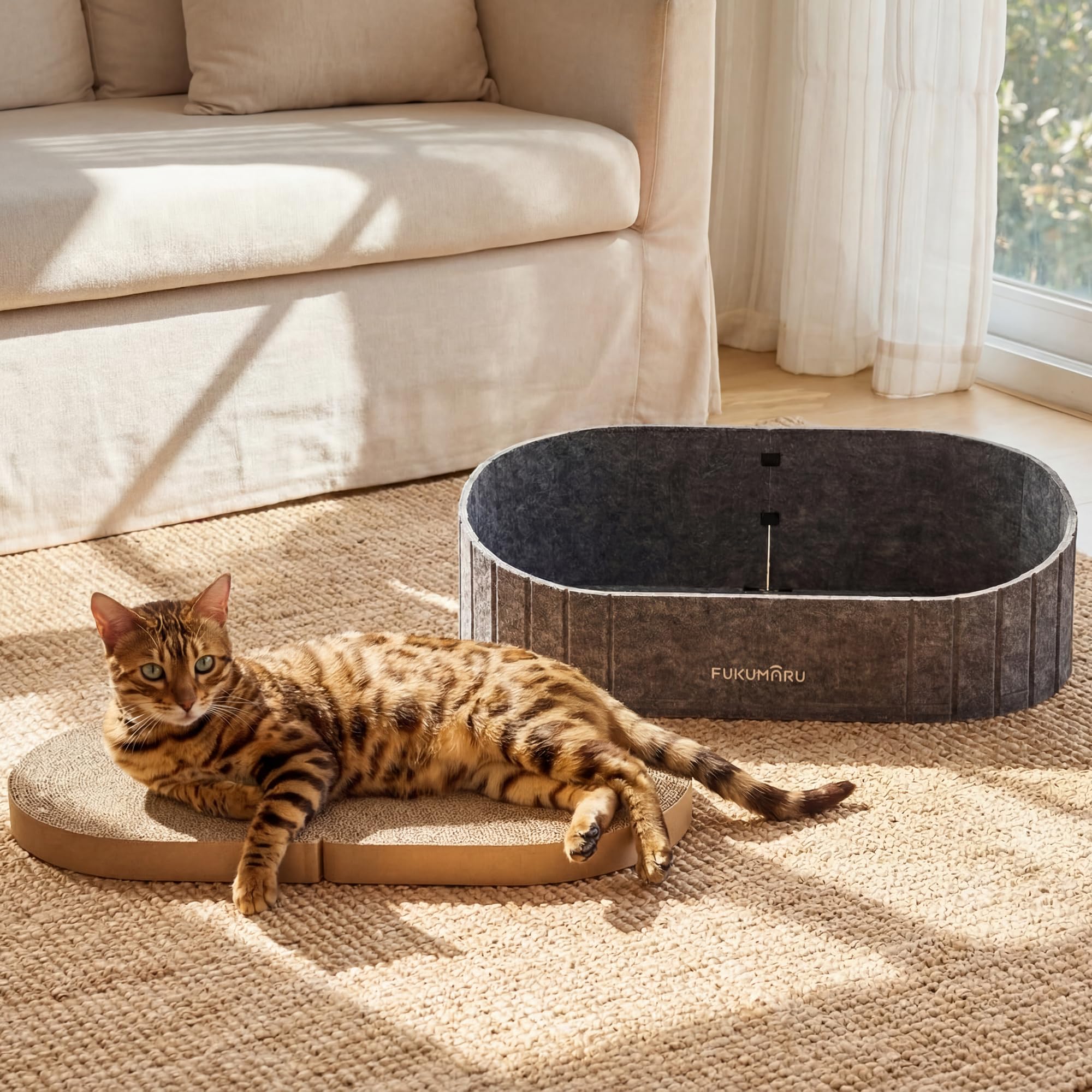 FUKUMARU comparaison taille avec chat montrant espace suffisant