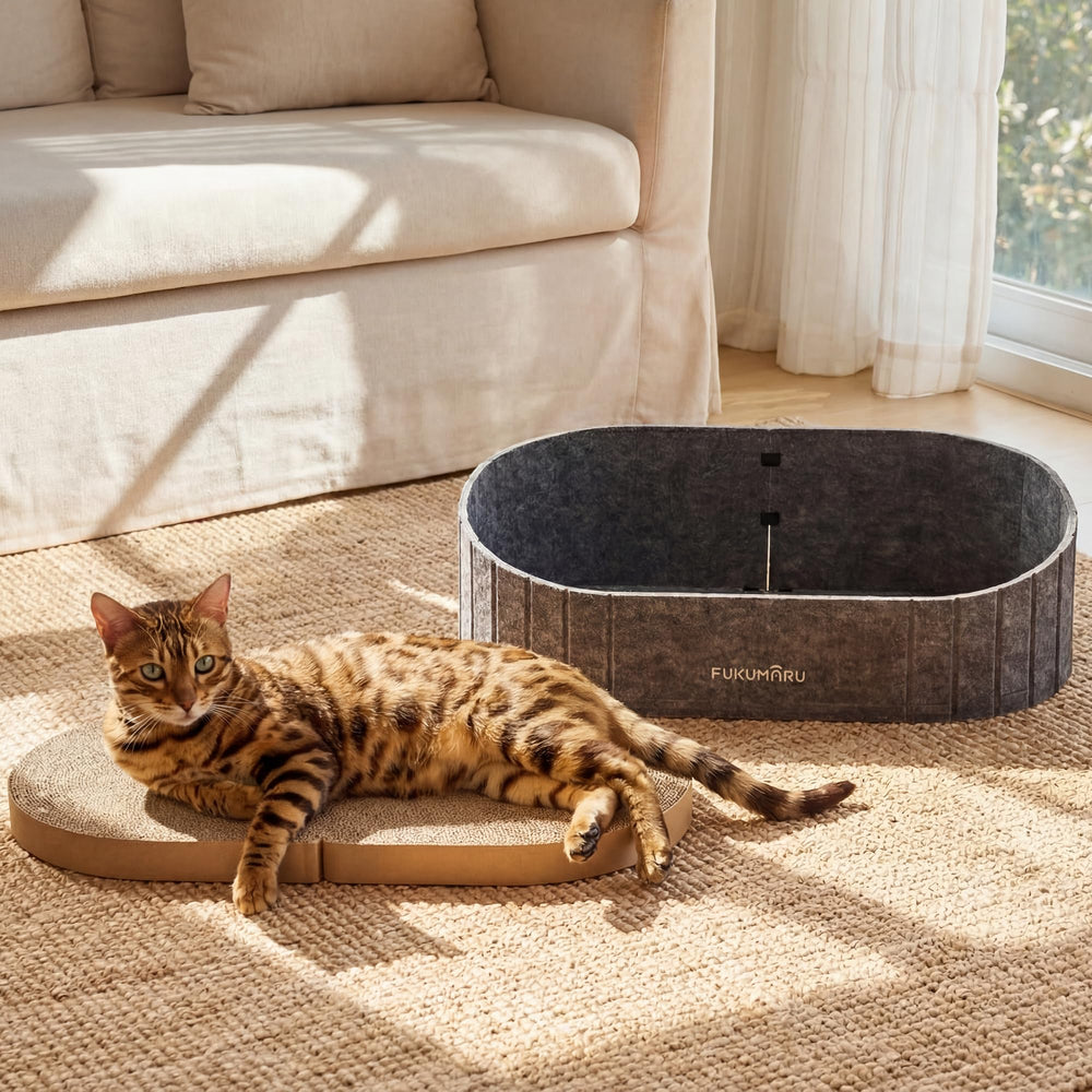 FUKUMARU comparaison taille avec chat montrant espace suffisant