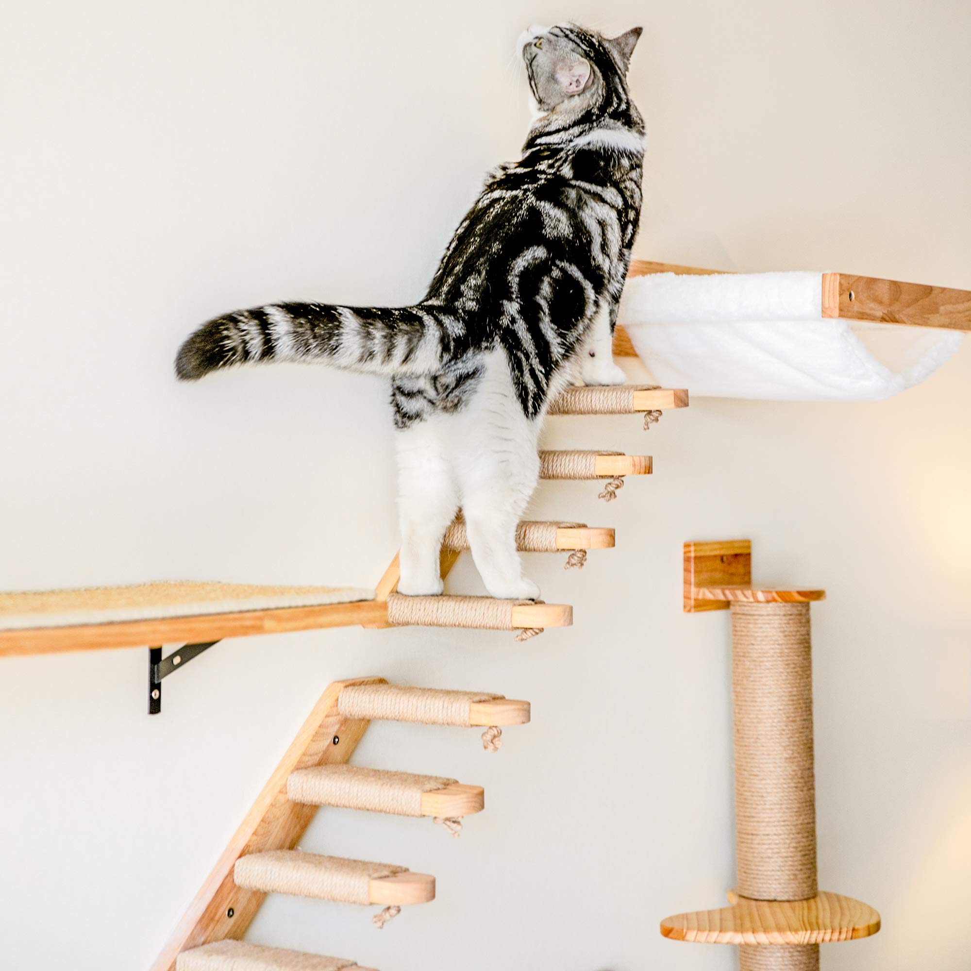 FUKUMARU intégrée à un intérieur montrant aspect décoratif
