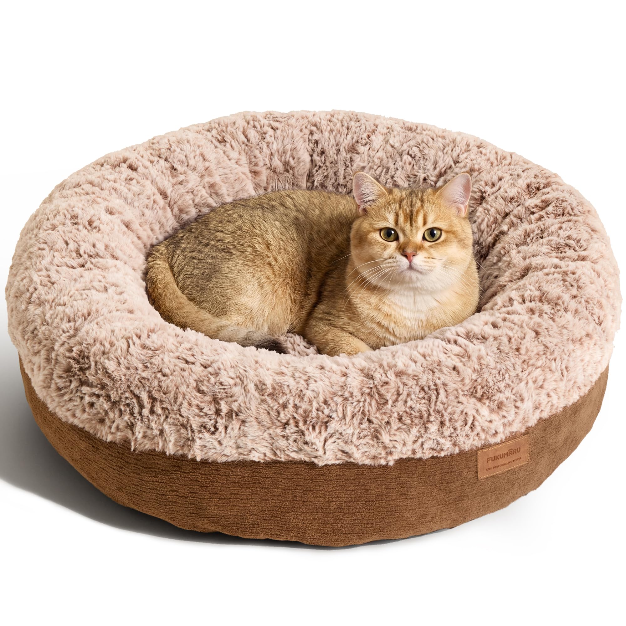 FUKUMARU vue avant du coussin donut montrant forme enveloppante et confort