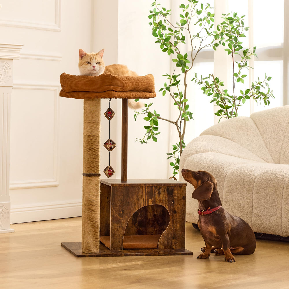 FUKUMARU comparaison d'échelle avec chat, montre dimensions pratiques