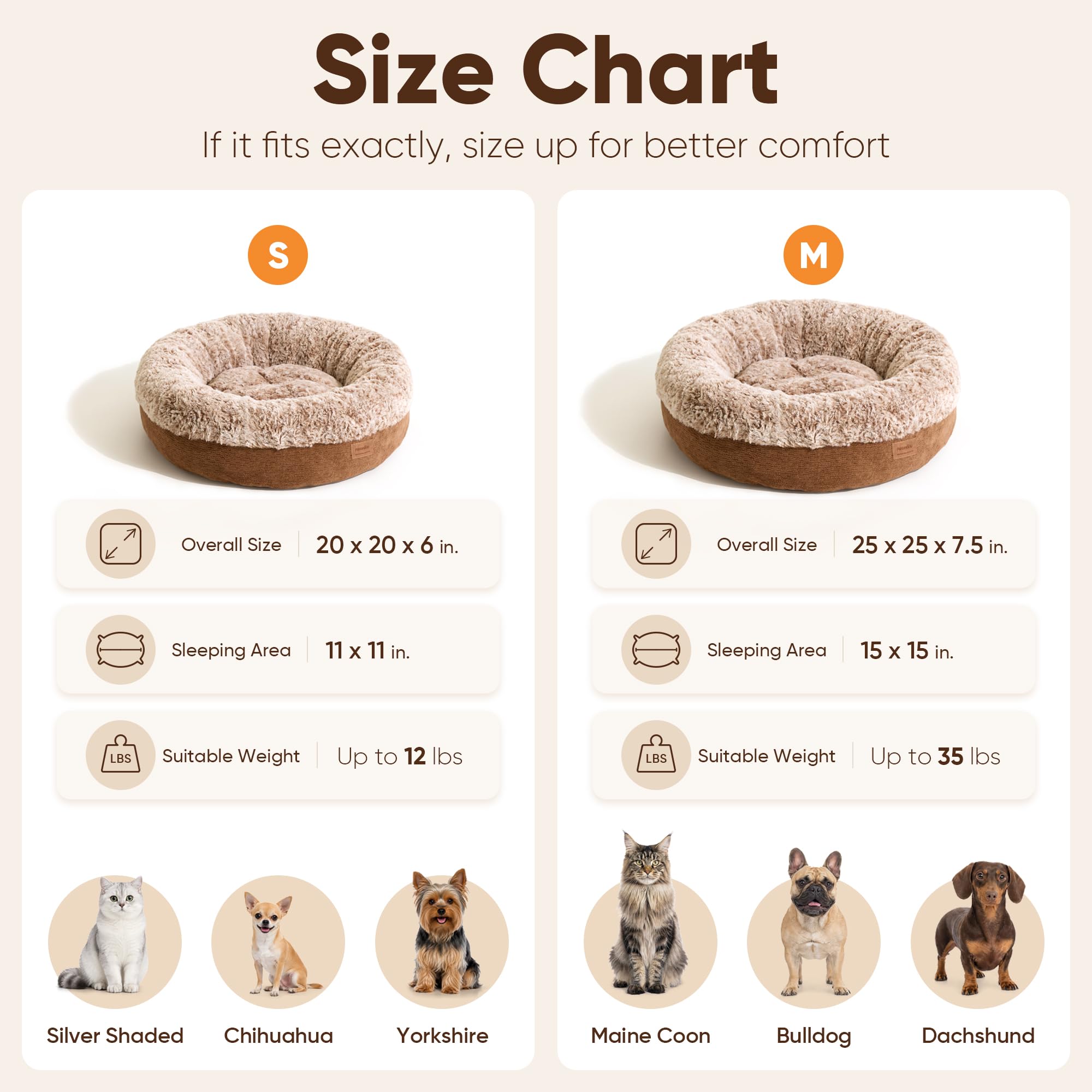 FUKUMARU comparaison de taille avec objet du quotidien pour échelle