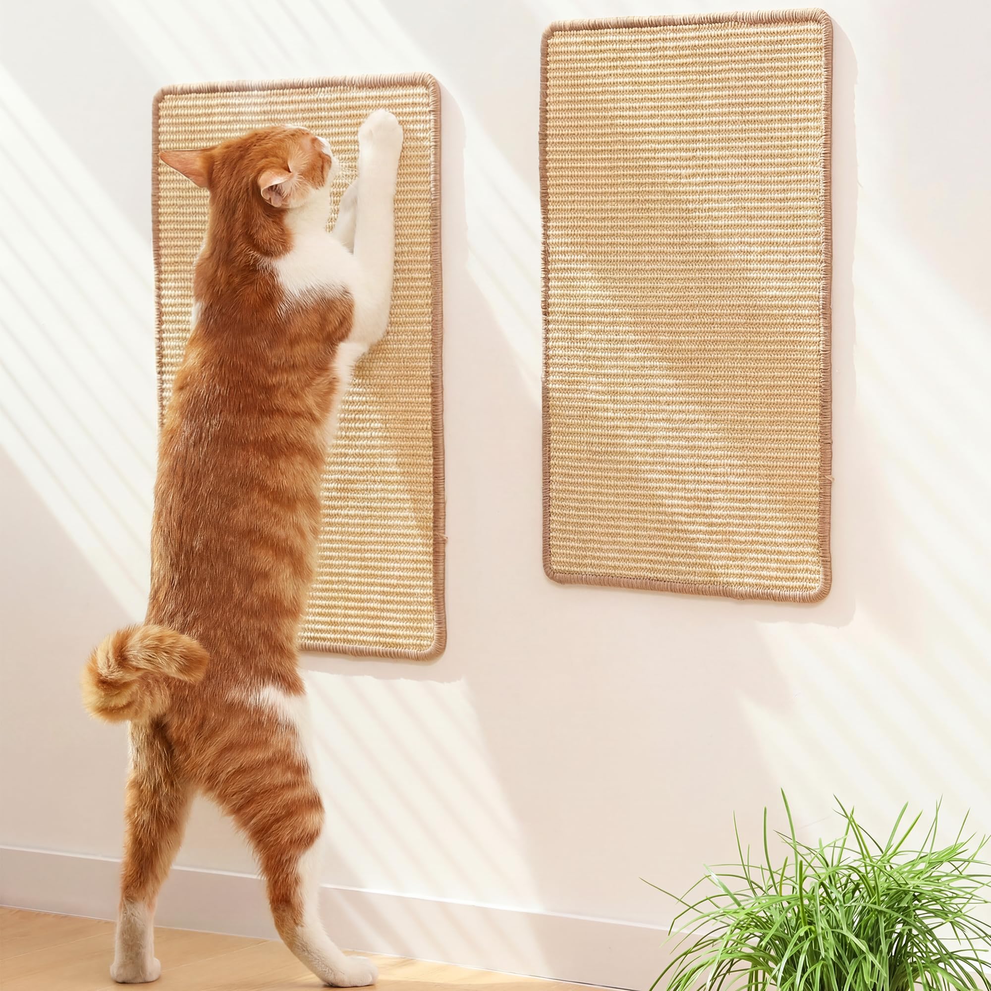 FUKUMARU tapis griffer face avant montrant design robuste et protection mobilier