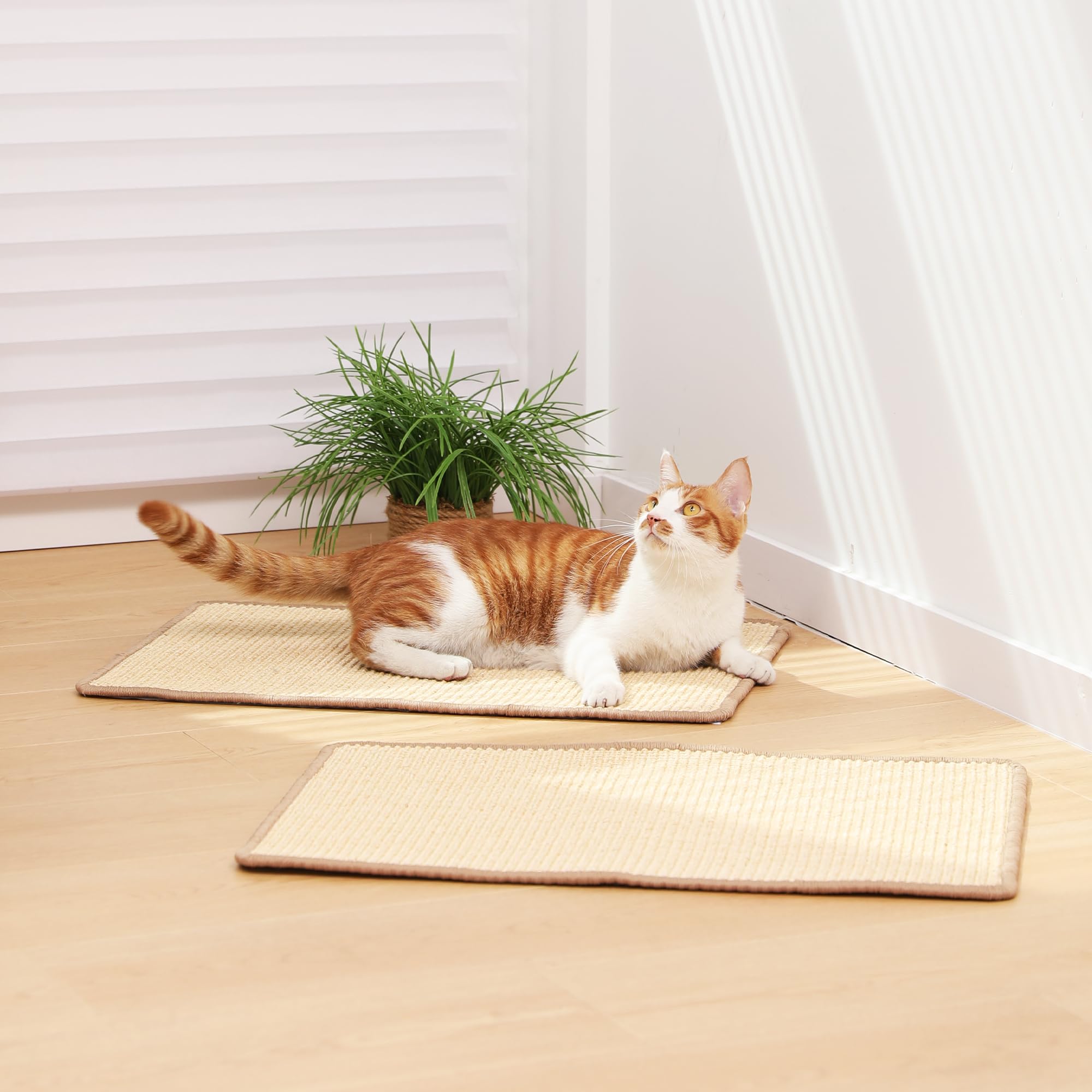 FUKUMARU scène de vie chat dormant sur tapis mettant en avant confort et usage