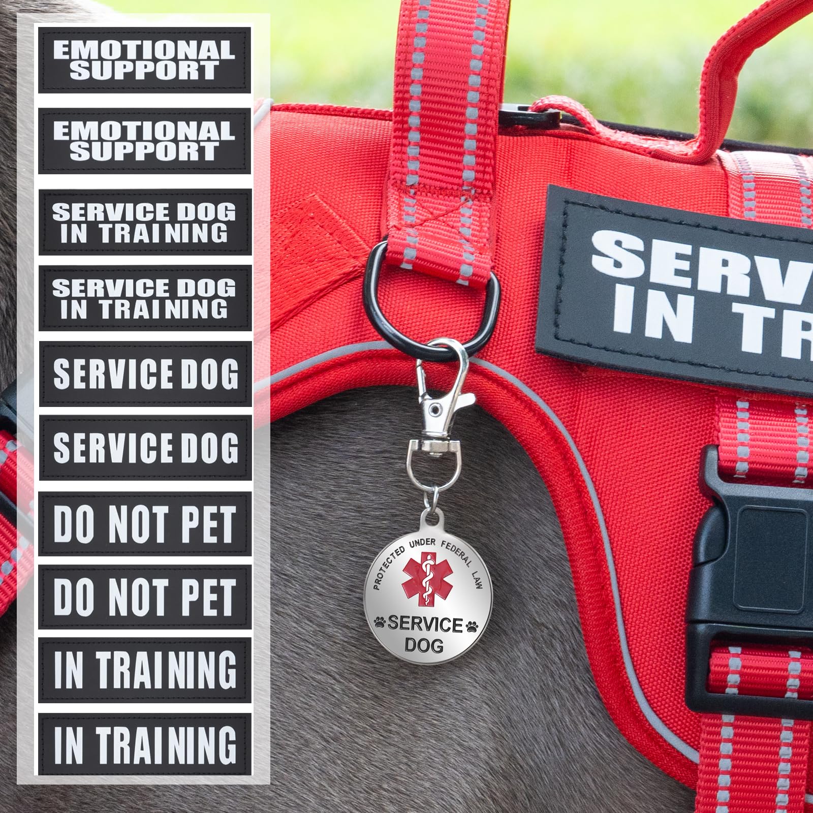 Fulaweier plaque SERVICE DOG bien lisible pour accès public