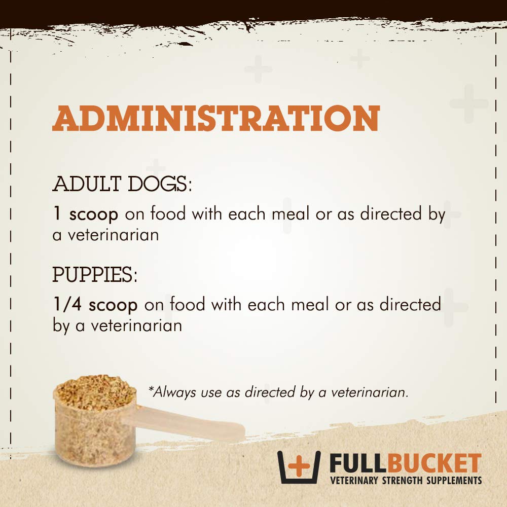 FullBucket chien mangeant la nourriture mélangée montrant appétence